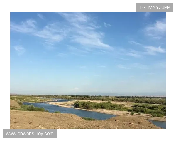 喀什队首战胜利,190人争夺新疆石榴籽杯排球总决赛荣耀