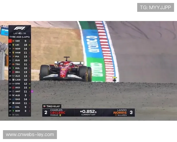 拉斯维加斯站排位赛:诺里斯夺杆,维斯塔潘头排发车