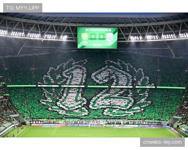 威斯特法伦南看台：多特蒙德球迷展示巨型TIFO激励球队阻击药厂。